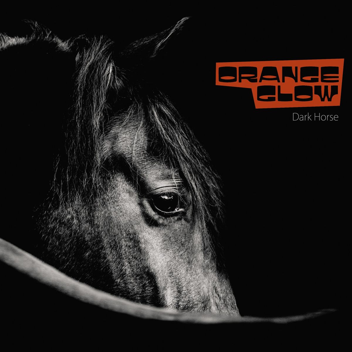 Orange Glow - Dark Horse